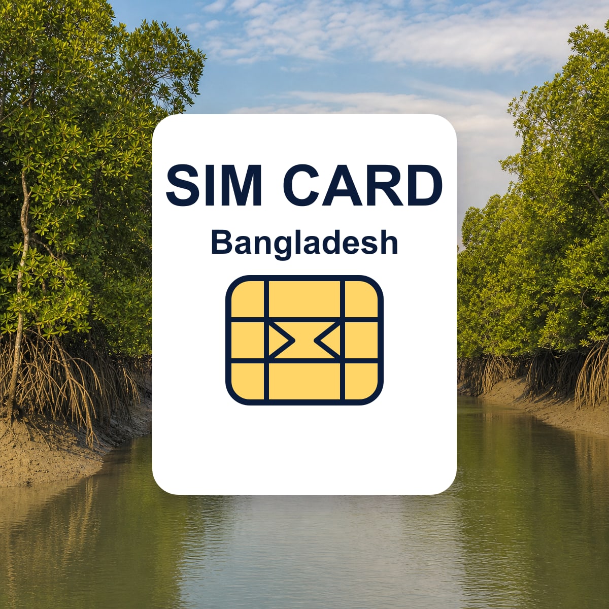 बांग्लादेश यात्रा SIM card की प्रतिनिधि तस्वीर